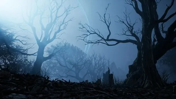A dark, moonlit forest in AION 2 — the haunted atmosphere of Nightmare Dungeons